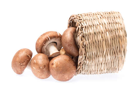 basket of Champignon Mushroom isolated on white backgroundの写真素材