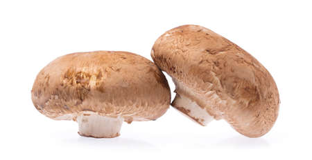portobello mushrooms, isolated on white background.の写真素材