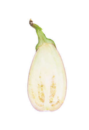 cut of eggplant isolated on white backgroundの写真素材
