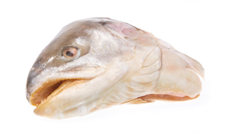 cut salmon head isolated on white backgroundの写真素材