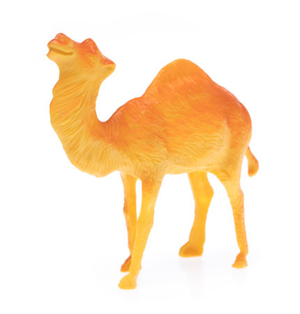 plastic camel isolated on white backgroundの写真素材