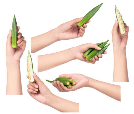 Collection of hand holding Fresh okra isolated on white background.の写真素材