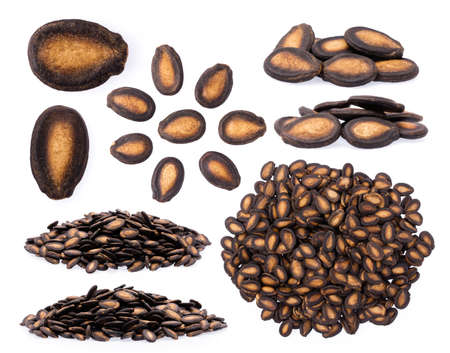 Collection of Watermelon seeds isolated on white backgroundの写真素材