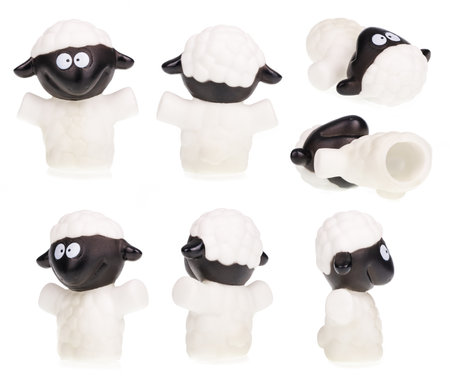 Set of animal finger puppets isolated on a white background.の写真素材