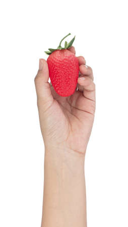 Hand holding Strawberry for decoration artificial fruit ornaments artificial foam fake imitation isolated on white backgroundの写真素材