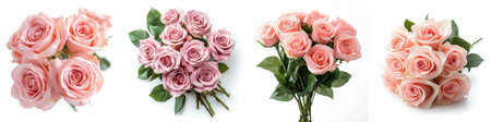 A bouquet of pink roses, isolate on white background. Set Collection.の素材