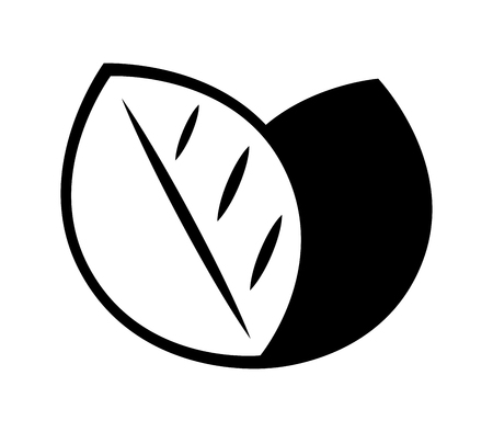 Vector natural eco logo. Stylized silhouette of tea leaf.のイラスト素材
