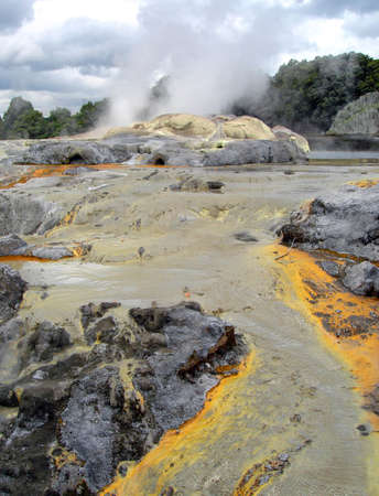Steam venting from the Po Hutu Geyser, Te Puia, Rotorua, New Zealand