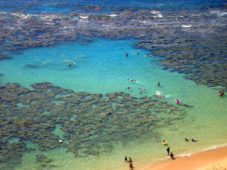 Snorkelers and Families swimming around the coral at Hanauma Bay, Oahu, Hawaiiの写真素材