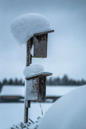 Birdhouse covered with snow outdoorの写真素材