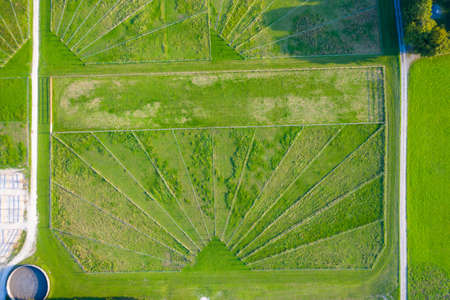 Green pastures of horse farms. Countryside landscape. Drone Aerial Shot. Paddocks, Outdoorの写真素材