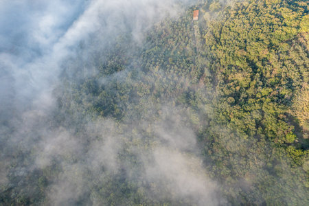 Tuscany from above. Wine and Olive field with fog around. Drone Shotの写真素材