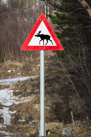 Norwegian elk warning road signの写真素材