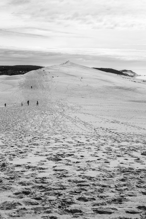 View from Dune of Pilat or Pyla - the largest sand dune in Europe, Aquitaine, Franceの写真素材