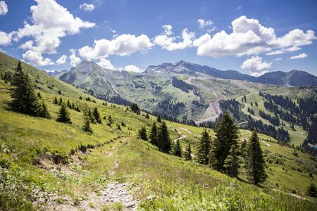 Bucolic green summer alpine landscape, Swiss Alps mountain massif, canton du Valais, Switzerlandの写真素材