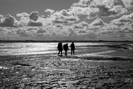 Black and white maritime landscape with reflection of clouds in low tide water and group of people trekking, Waddenzee, Friesland, The Netherlandsの写真素材