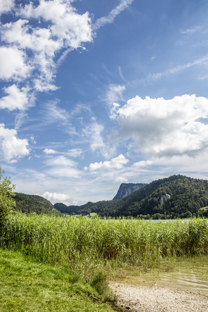 summer landscape of Brenet lake near Le pont, canton de Vaud, Switzerlandの写真素材
