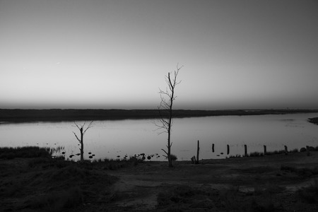 sunset with reflection in still water over nature reserve Casse de la Belle Henriette, Vendee, Franceの写真素材