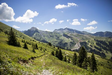 Bucolic green summer alpine landscape, Swiss Alps mountain massif, canton du Valais, Switzerlandの写真素材