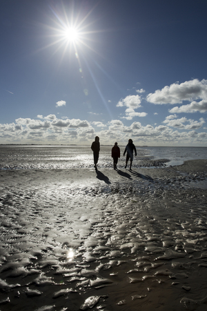Maritime landscape with reflection of clouds in low tide water and group of people trekking, Waddenzee, Friesland, The Netherlandsの写真素材