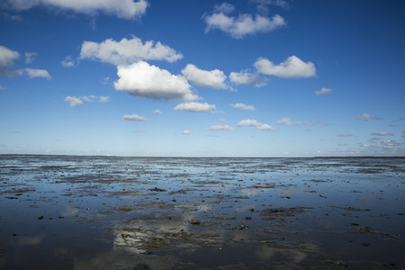 Maritime landscape with reflection of clouds in low tide water, Waddenzee, Friesland, The Netherlandsの写真素材