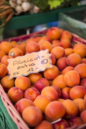 Close up view of apricots on the marketの写真素材