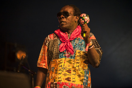 Amsterdam, The Netherlands - July, 5 2015: concert of Congolese band Kasai Allstars during Amsterdam Roots Open Air, a cultural festival held in Park Frankendael on 05/07/2015のeditorial素材