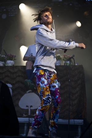 Traena, Norway - July 11 2014: people watching the concert of the Swedish pop-techno band Den Svenska Bjornstammen at the Traenafestival, music festival taking place on the small island of Traenaのeditorial素材