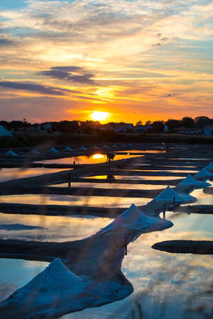 Panoramic view of the salt marshland at sunrise, Olonne area, Vendee, Franceの写真素材