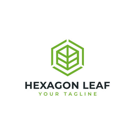 Hexagon Leaf, Eco, Garden, Botany, Nature Line Logo Designのイラスト素材