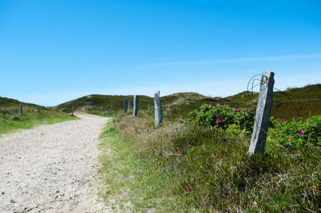 Way with footsteps and blue skyの写真素材