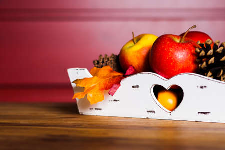 Autumn decorationの写真素材