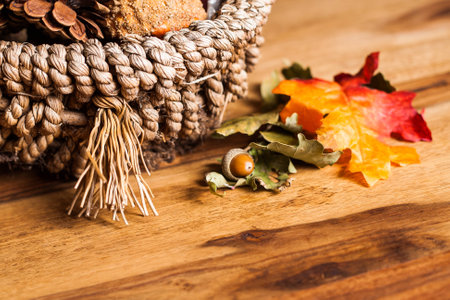 Autumn decorationの写真素材