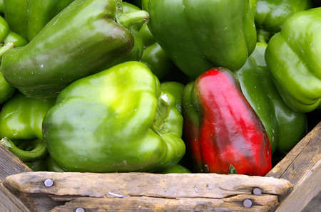 Box of green peppers with one red oneの写真素材