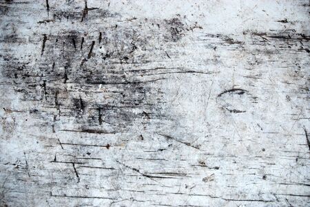 Grungy weathered and scrathed wooden plankの写真素材