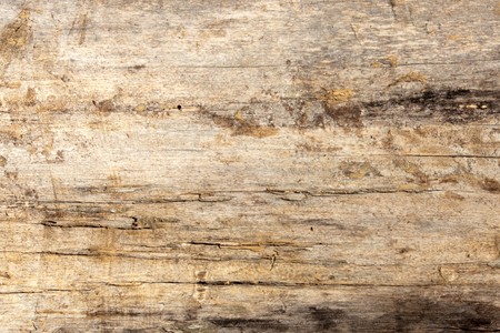Wood textureの写真素材