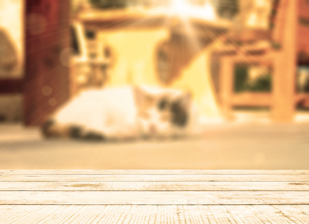 Cat lying in the street near cafe table in sunny day. Toned image. Perspective view.の写真素材