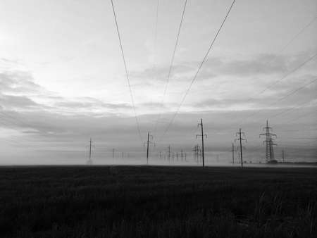 Electric power lines in the fog. Morning dawn.の写真素材