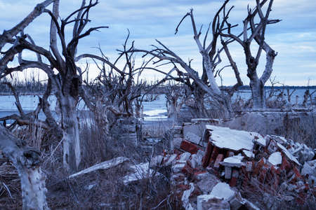 Ruins of abandoned Epecuen ghost town
