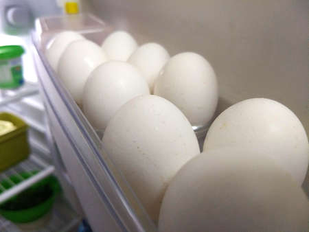 white eggs on their slots. Inside a fridge door.