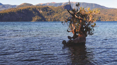 Landscape of Lacar lake at sunset. Taken from Quila Quina beach. San Martin de los Andes, Patagonia, Neuquen, Argentinaの写真素材
