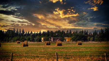countryside sunset landscape on a warm summer afternoon