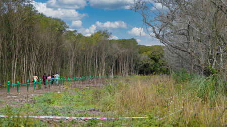 people enjoying a warm afternoon hiking in swamp deer national park.