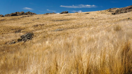 "quebrada del condorito" national park landscape on a warm spring morningの写真素材