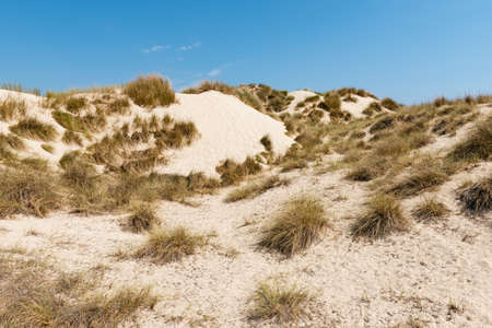 Sand dunes, Cala Mesquida, Mallorca, Spainの写真素材