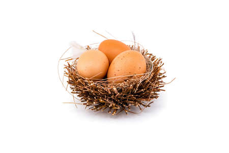 Three brown eggs in bird nest isolated on white background.の写真素材
