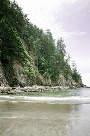 A forest along the beach at Oswald Westの写真素材