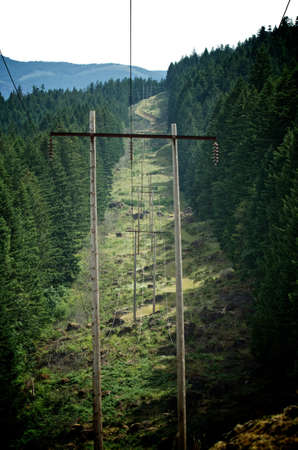 Telephone poles running down a trail in the mountainsの写真素材