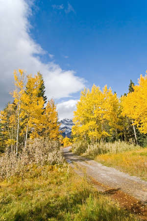 Colorful autumn leaves and beautiful fall outdoors nature landscapes of trees