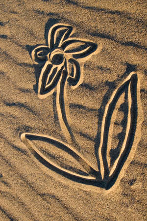 Drawings in the sand dunes in the desertの写真素材